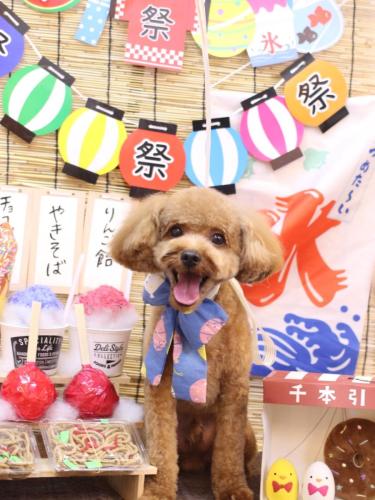 20240710レオくん